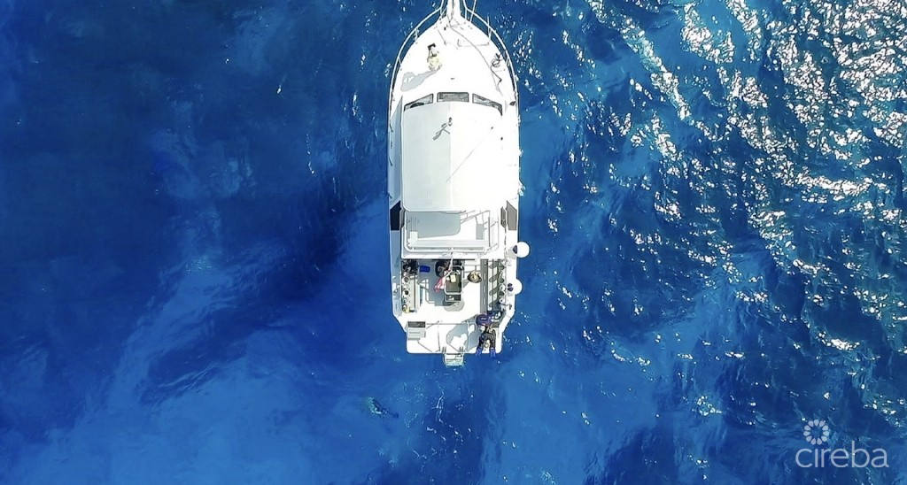 Квартира, 5719 м², 7 500 000$ — FAKTOR